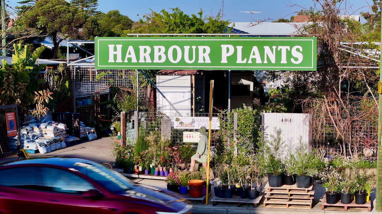 Storefront of Harbour Plants nursery with a passing red car