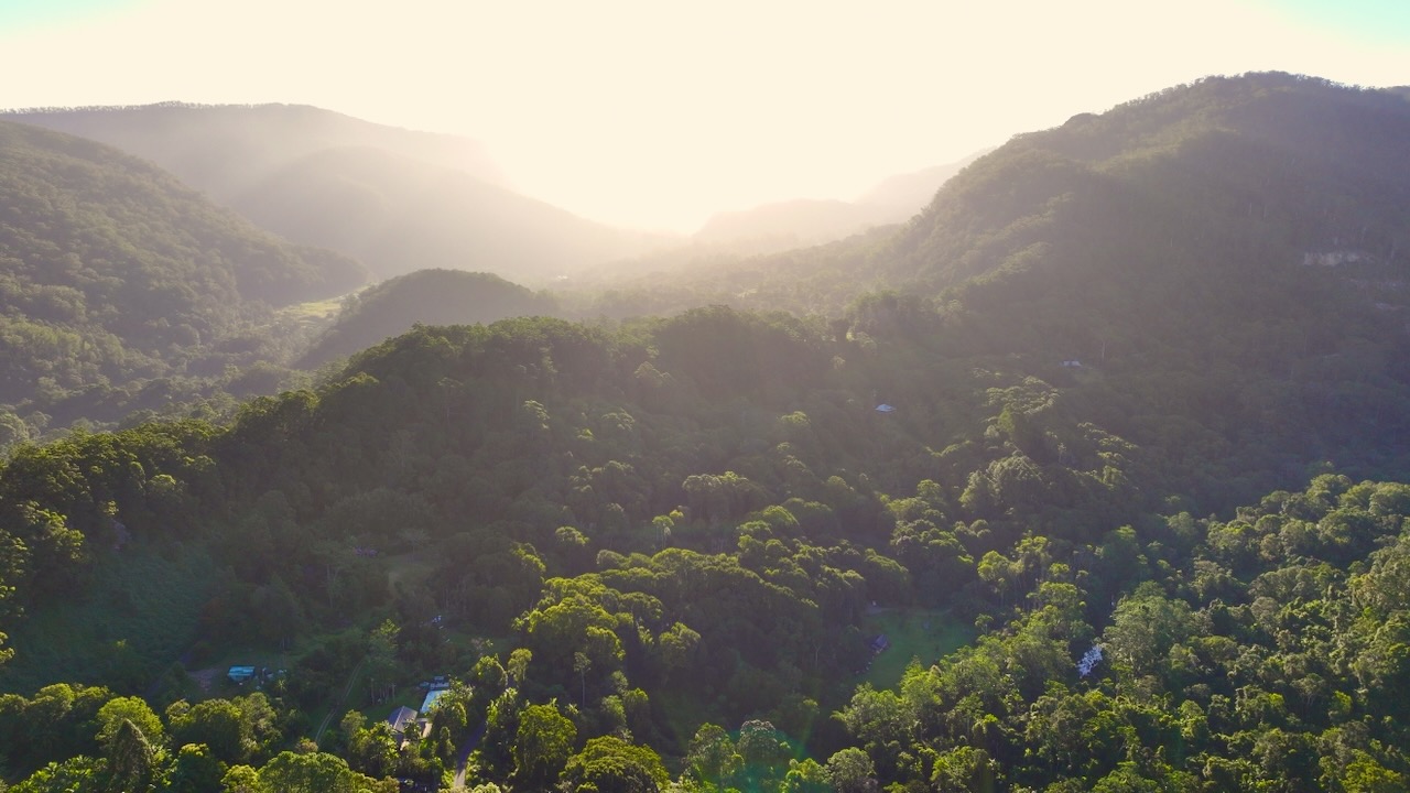 Sunrise over forested hills